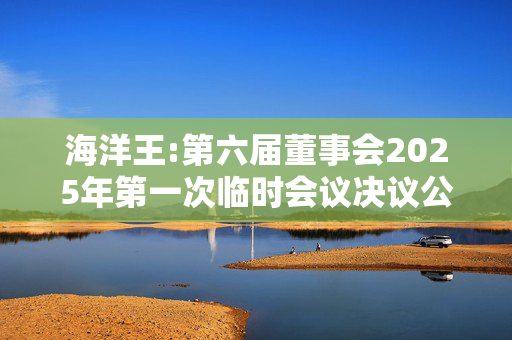 海洋王:第六届董事会2025年第一次临时会议决议公告