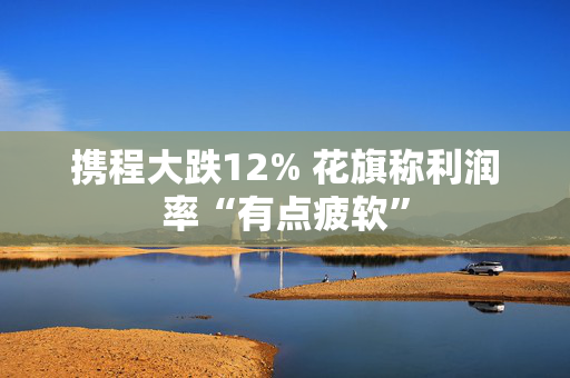 携程大跌12% 花旗称利润率“有点疲软”