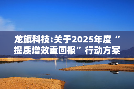 龙旗科技:关于2025年度“提质增效重回报”行动方案的公告