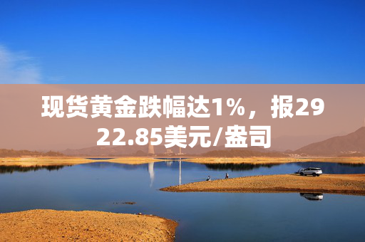 现货黄金跌幅达1%，报2922.85美元/盎司