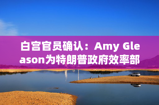 白宫官员确认：Amy Gleason为特朗普政府效率部的代理主管