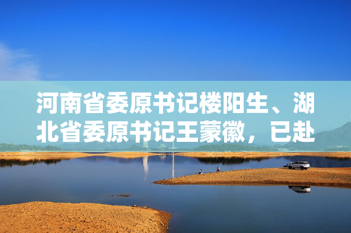 河南省委原书记楼阳生、湖北省委原书记王蒙徽，已赴全国人大任职