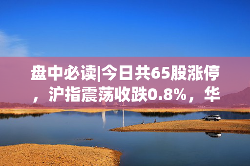 盘中必读|今日共65股涨停，沪指震荡收跌0.8%，华为手机概念股全天强势