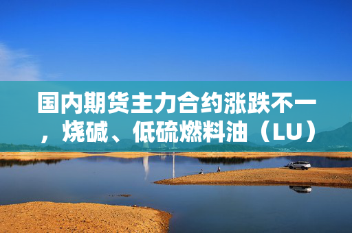 国内期货主力合约涨跌不一，烧碱、低硫燃料油（LU）跌近3%