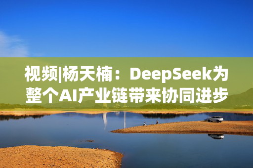 视频|杨天楠：DeepSeek为整个AI产业链带来协同进步的新机会