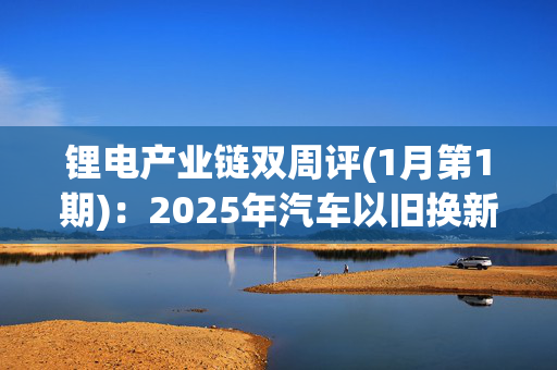 锂电产业链双周评(1月第1期)：2025年汽车以旧换新政策延续 国内锂电企业加速海外市场拓展