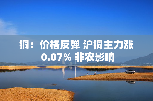 铜：价格反弹 沪铜主力涨 0.07% 非农影响