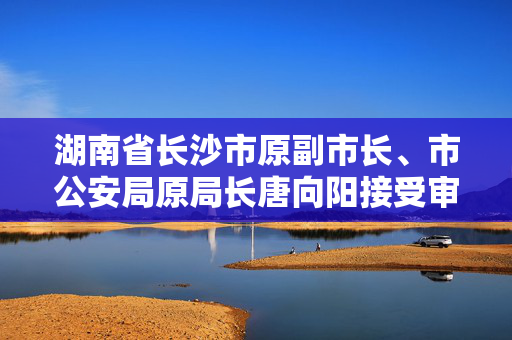 湖南省长沙市原副市长、市公安局原局长唐向阳接受审查调查