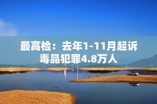 最高检：去年1-11月起诉毒品犯罪4.8万人