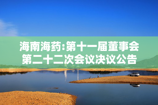 海南海药:第十一届董事会第二十二次会议决议公告