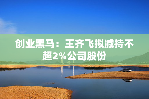 创业黑马：王齐飞拟减持不超2%公司股份