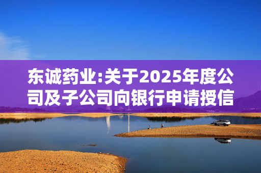 东诚药业:关于2025年度公司及子公司向银行申请授信额度的公告