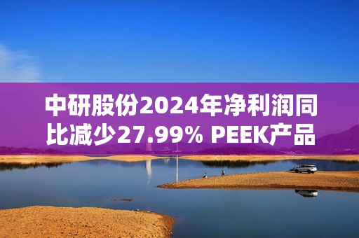 中研股份2024年净利润同比减少27.99% PEEK产品出货量实现小幅增长