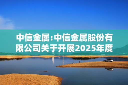 中信金属:中信金属股份有限公司关于开展2025年度商品套期保值业务的公告