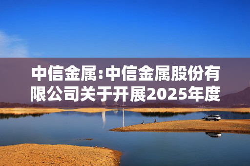 中信金属:中信金属股份有限公司关于开展2025年度货币类衍生品套期保值业务的公告