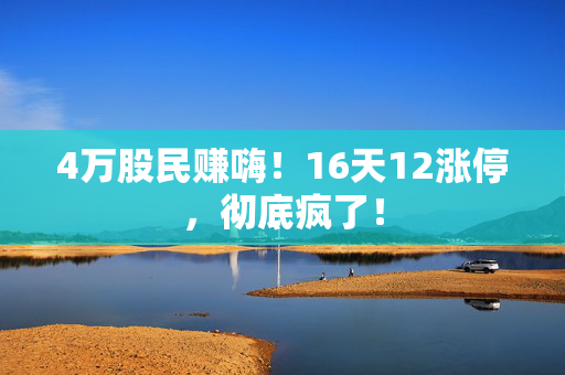 4万股民赚嗨！16天12涨停，彻底疯了！