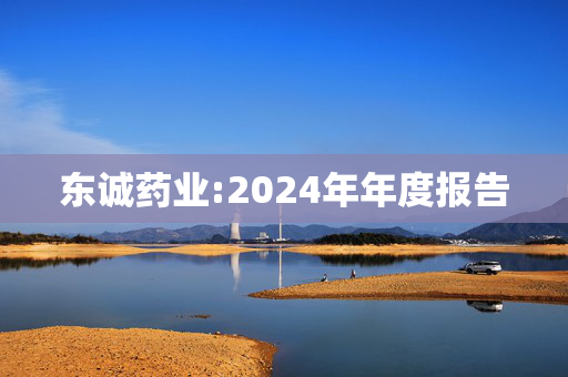 东诚药业:2024年年度报告