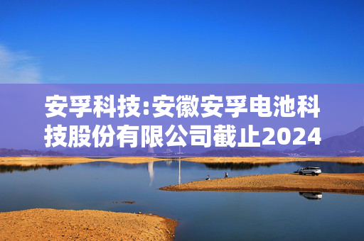 安孚科技:安徽安孚电池科技股份有限公司截止2024年6月30日及前一个会计年度备考合并财务报表审阅报告