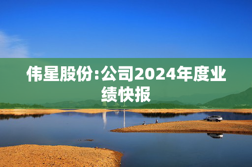 伟星股份:公司2024年度业绩快报