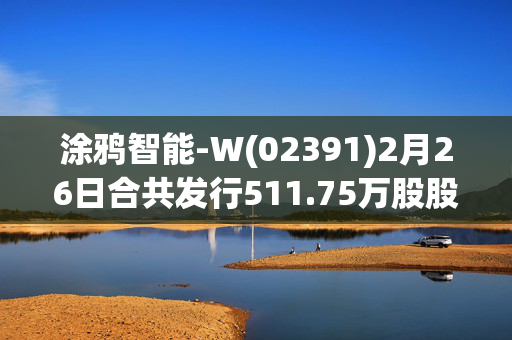 涂鸦智能-W(02391)2月26日合共发行511.75万股股份