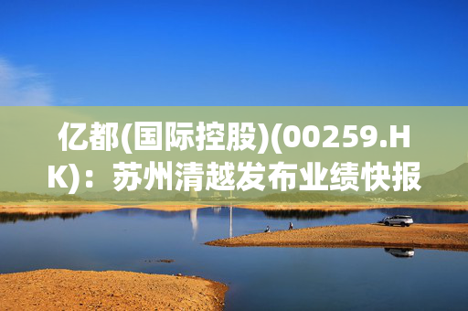 亿都(国际控股)(00259.HK)：苏州清越发布业绩快报，2024年净亏损6900万元