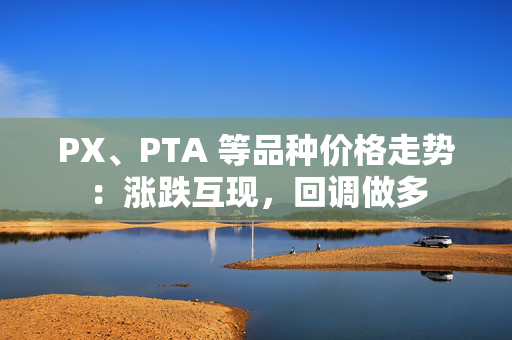 PX、PTA 等品种价格走势：涨跌互现，回调做多