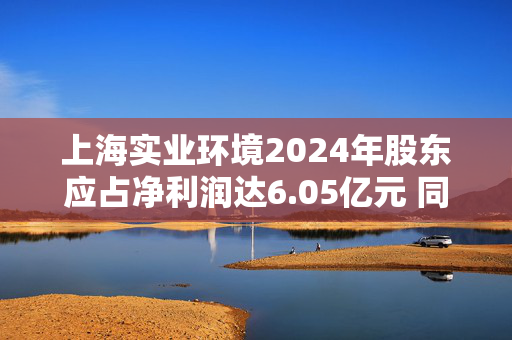 上海实业环境2024年股东应占净利润达6.05亿元 同比增长0.2%