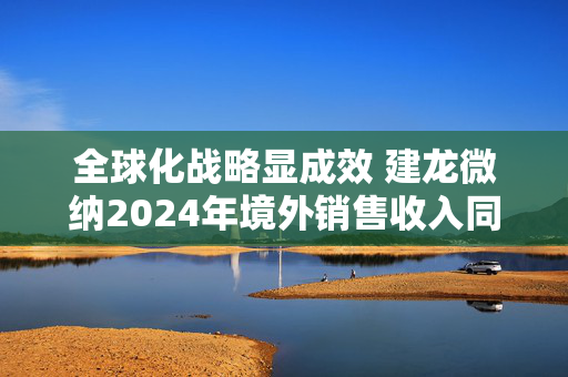 全球化战略显成效 建龙微纳2024年境外销售收入同比增长11.43%