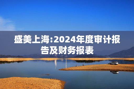 盛美上海:2024年度审计报告及财务报表