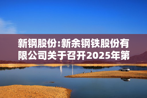 新钢股份:新余钢铁股份有限公司关于召开2025年第一次临时股东大会的通知