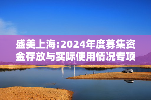 盛美上海:2024年度募集资金存放与实际使用情况专项报告