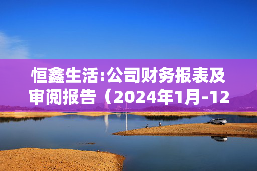 恒鑫生活:公司财务报表及审阅报告（2024年1月-12月）