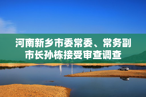 河南新乡市委常委、常务副市长孙栋接受审查调查