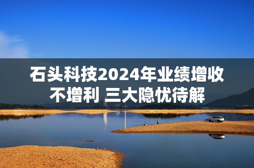 石头科技2024年业绩增收不增利 三大隐忧待解