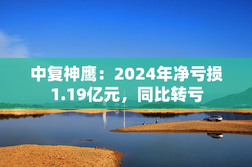 中复神鹰：2024年净亏损1.19亿元，同比转亏