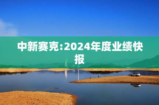 中新赛克:2024年度业绩快报