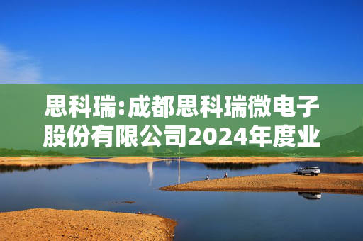 思科瑞:成都思科瑞微电子股份有限公司2024年度业绩快报公告