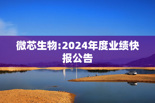 微芯生物:2024年度业绩快报公告