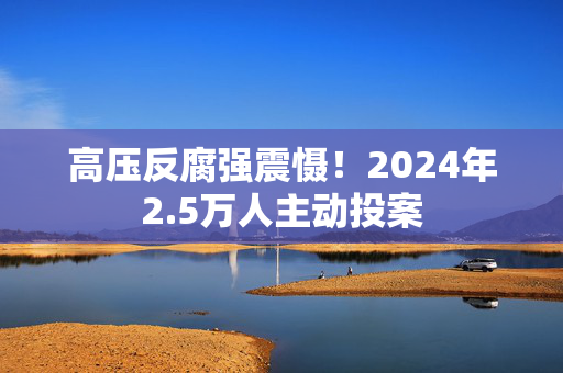 高压反腐强震慑！2024年2.5万人主动投案