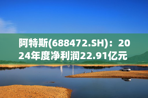 阿特斯(688472.SH)：2024年度净利润22.91亿元 同比减少21.09%