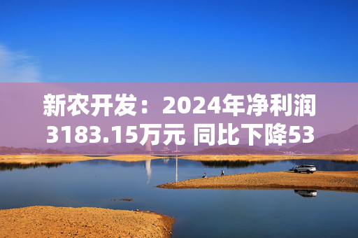 新农开发：2024年净利润3183.15万元 同比下降53.81%