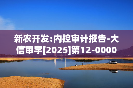 新农开发:内控审计报告-大信审字[2025]第12-00002号