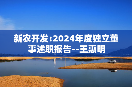 新农开发:2024年度独立董事述职报告--王惠明