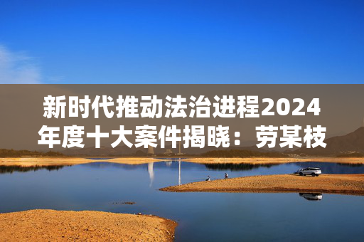 新时代推动法治进程2024年度十大案件揭晓：劳某枝案入选