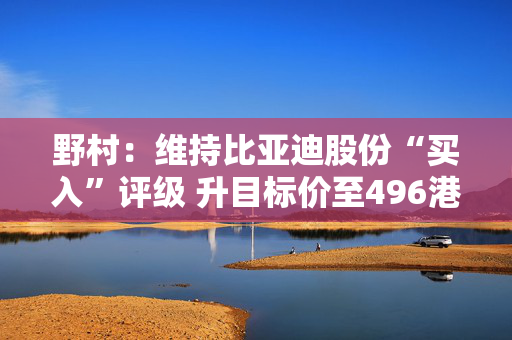 野村：维持比亚迪股份“买入”评级 升目标价至496港元