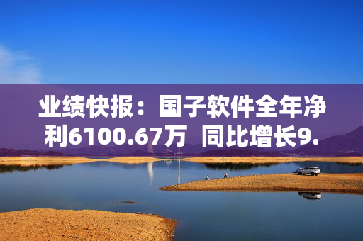 业绩快报：国子软件全年净利6100.67万  同比增长9.24%