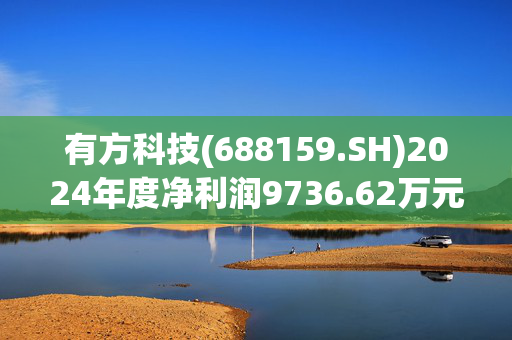 有方科技(688159.SH)2024年度净利润9736.62万元 同比扭亏为盈