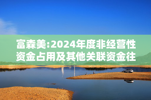 富森美:2024年度非经营性资金占用及其他关联资金往来情况汇总表