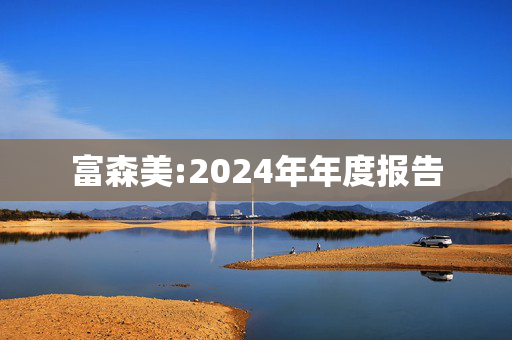 富森美:2024年年度报告