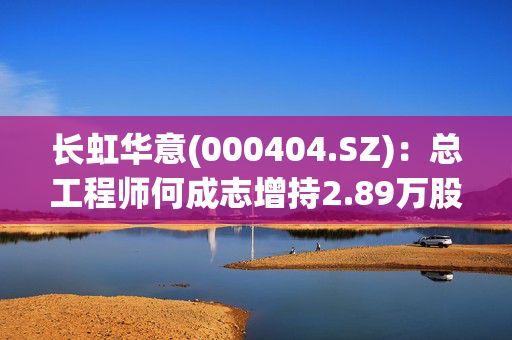 长虹华意(000404.SZ)：总工程师何成志增持2.89万股